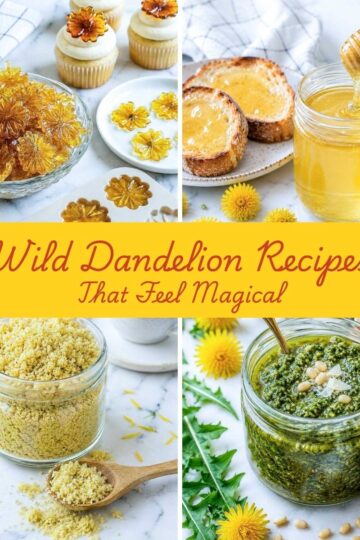 Collage of homemade dandelion recipes including dandelion candy, honey, flavored salt, and pesto arranged on a white marble background with yellow dandelion flowers and text overlay reading “Wild Dandelion Recipes That Feel Magical.”