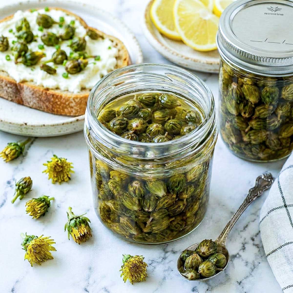 Jar of homemade dandelion capers in brine served with cream cheese toast, lemon slices, and fresh dandelion buds on a white marble background.